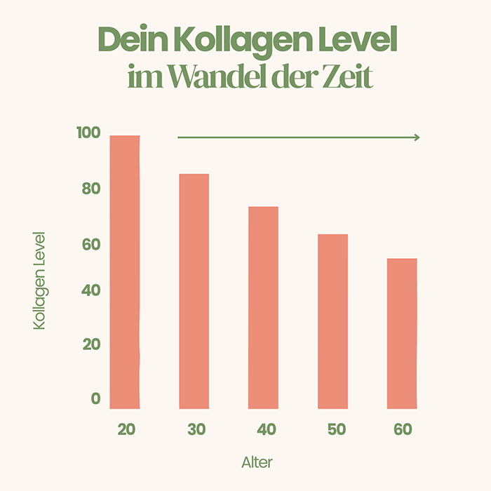 Kollagen-Level